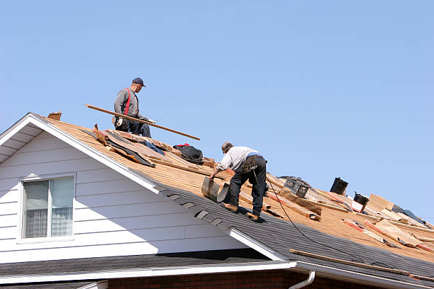 Best Roof Maintenance and Cleaning  in Lexington, WA